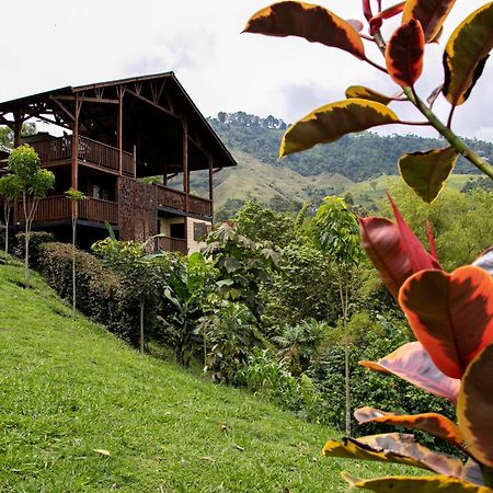 Tominejo Ecolodge - Casas En Los Arboles Neira Buitenkant foto