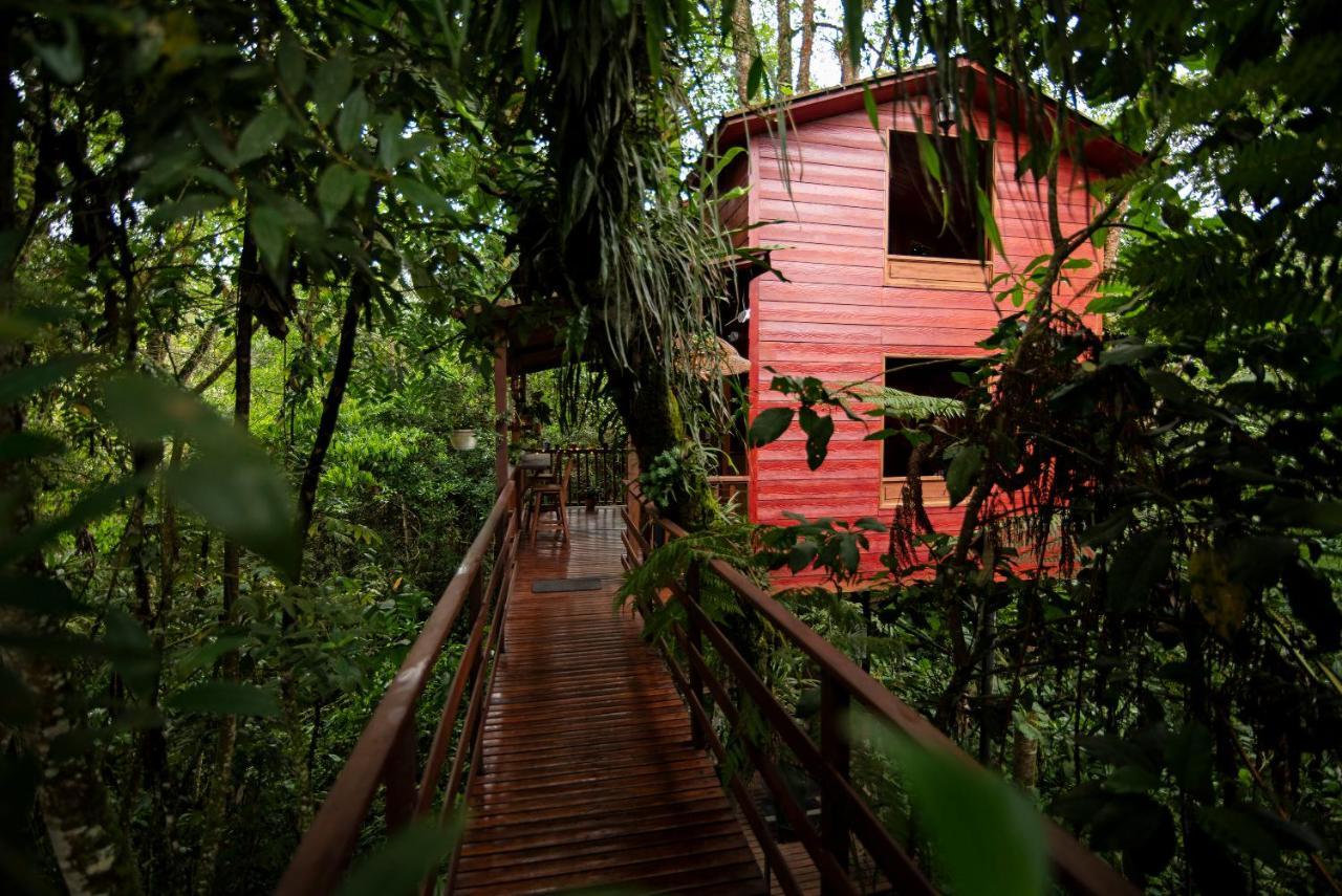 Tominejo Ecolodge - Casas En Los Arboles Neira Buitenkant foto