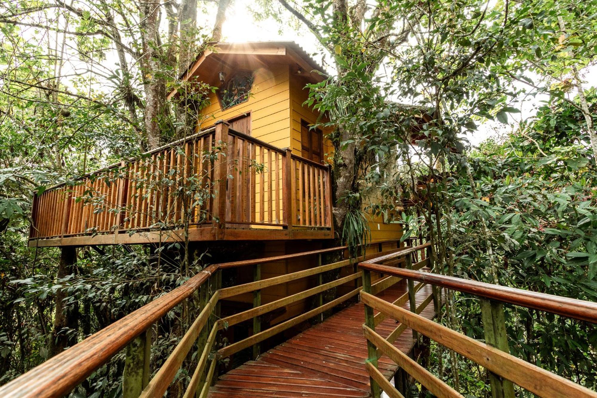 Tominejo Ecolodge - Casas En Los Arboles Neira Buitenkant foto