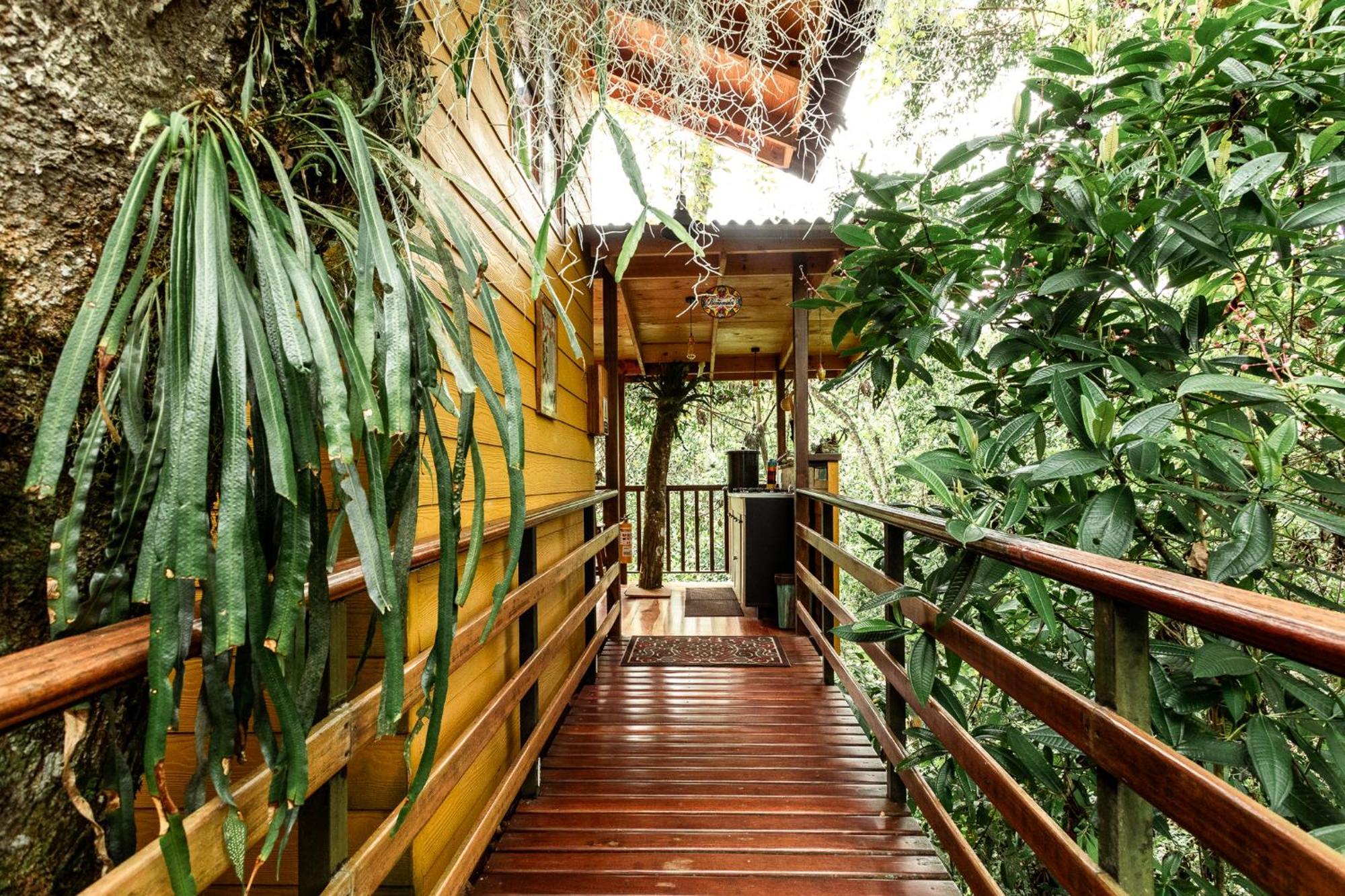 Tominejo Ecolodge - Casas En Los Arboles Neira Buitenkant foto