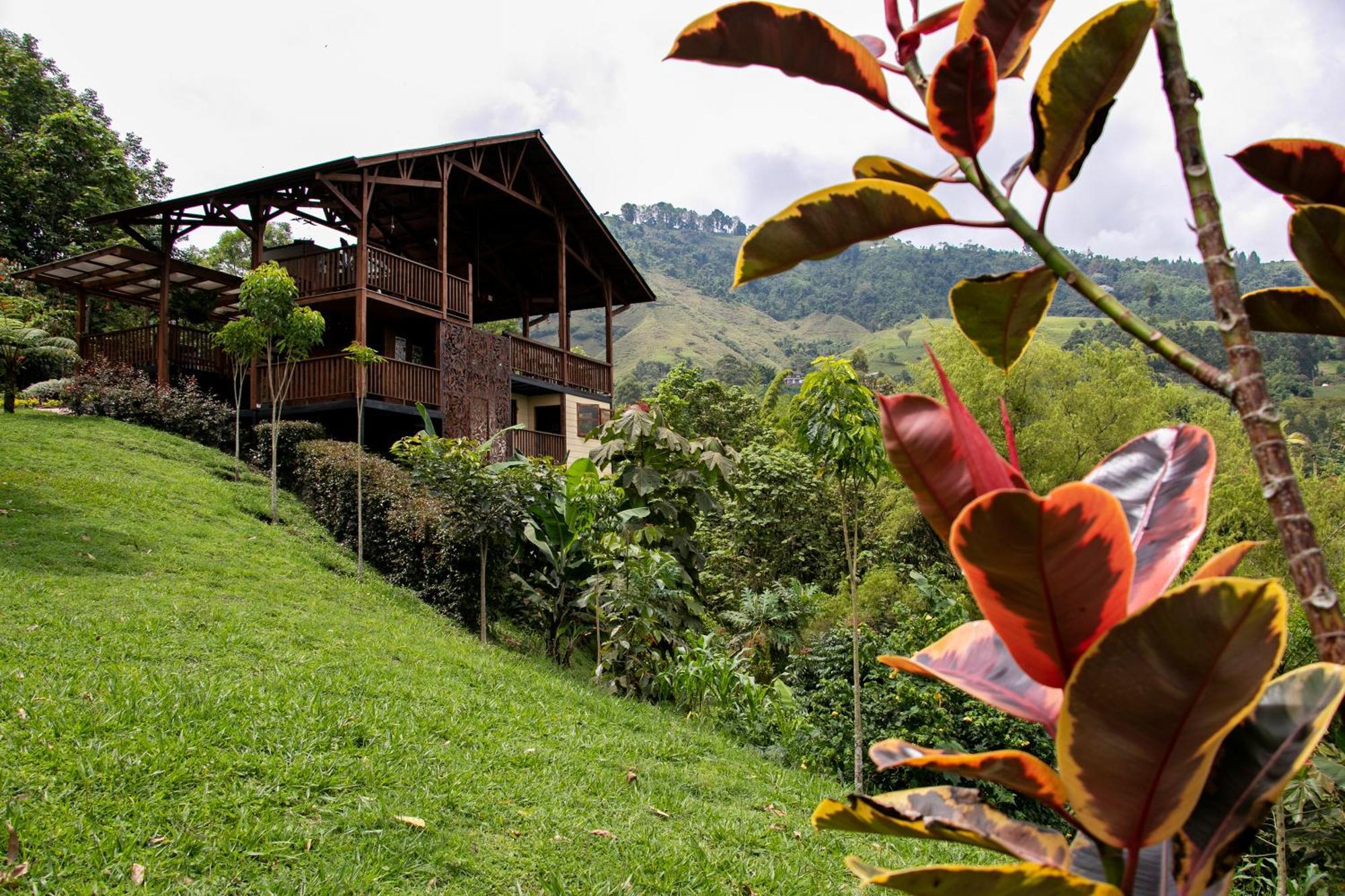 Tominejo Ecolodge - Casas En Los Arboles Neira Buitenkant foto